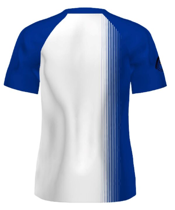 SIA Merger Blue - Image 2