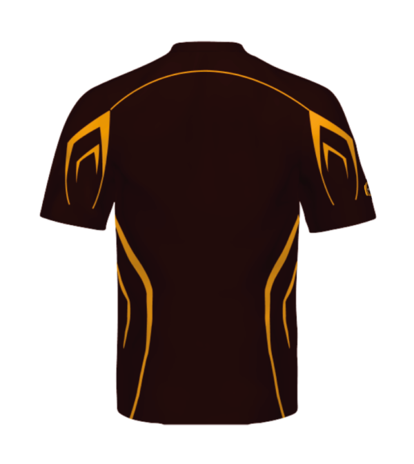 IPT Brown Stimulus - Image 2
